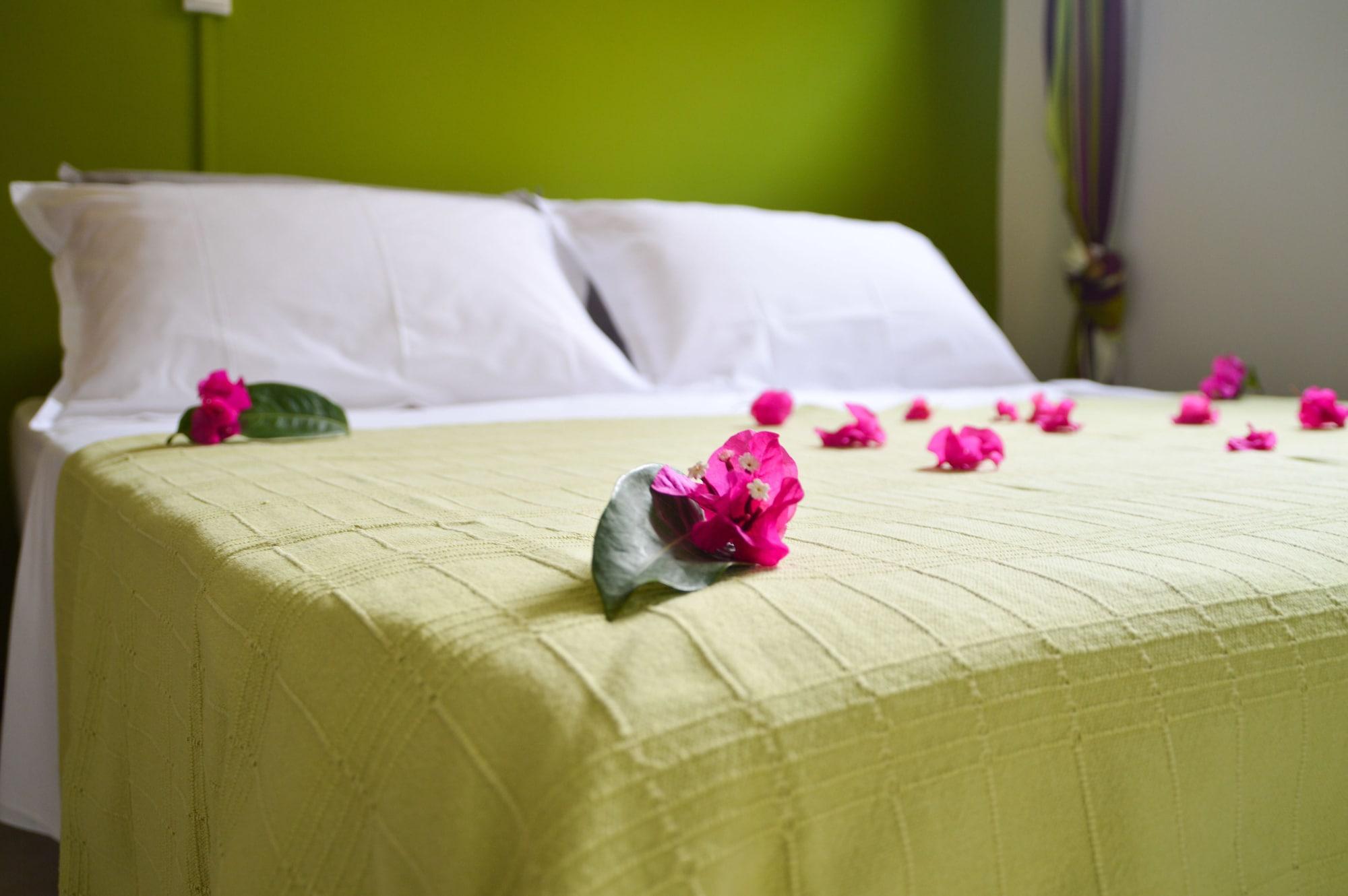 Tante Arlette Hotel Grand'Riviere ภายนอก รูปภาพ